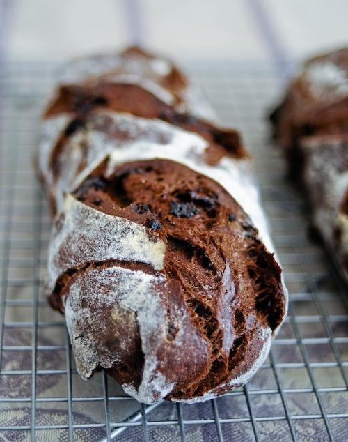 Chocolate Starter Bread