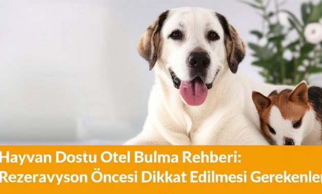 Hayvan Dostu Otel Tuzağına Düşmeyin: Köpekle Tatil İçin Otel Bulma Rehberi