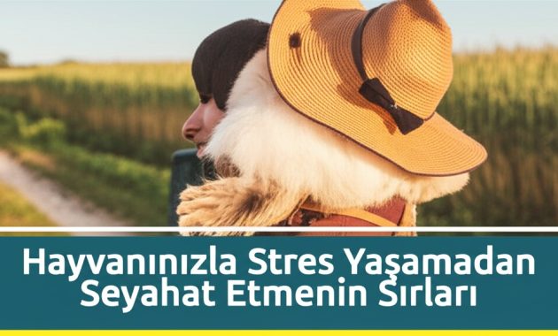 Patili Dostunuzla Tatil Kâbusa Dönmesin: Stressiz Bir Yolculuğun Püf Noktaları