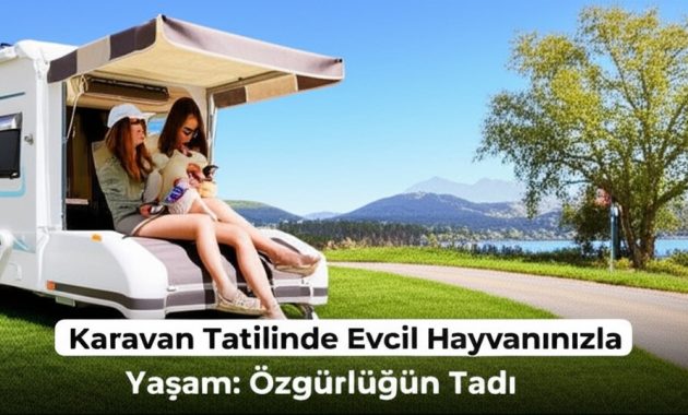 Tekerlekli Evimiz ve Dört Ayaklı Kaptan: Köpekle Karavan Hayatının Püf Noktaları