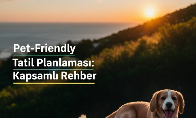 O Oteli Bulmak Neden Saatler Sürdü: Köpekle Tatil Planlamanın Perde Arkası