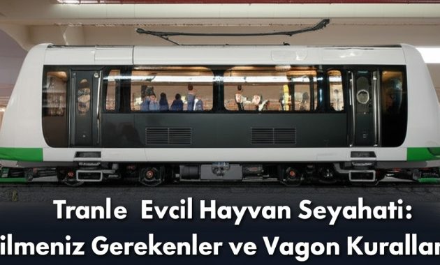 Rayların Üzerindeki Mırıltı: Kedim İs ile Tren Yolculuğu Maceramız