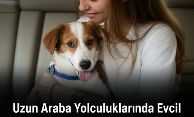 6 Saatlik Araba Yolculuğu ve Bir Köpeğin Sıkıntıdan Patlama Evreleri (ve Kurtarma Planım)
